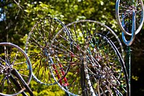 Spinning Forest Flower By Kitty Gordon