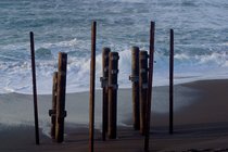 Pilings, I