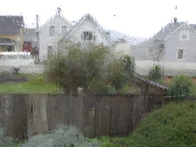 Rainy Window