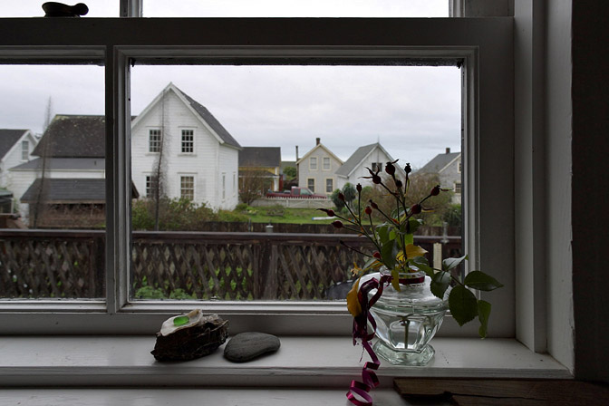 Kitchen Window