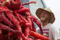 Hell in a handbasket