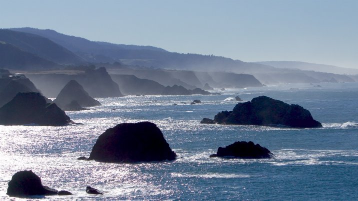 Sea Stacks off Elk