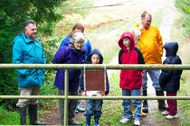 Mountain Lion Warning