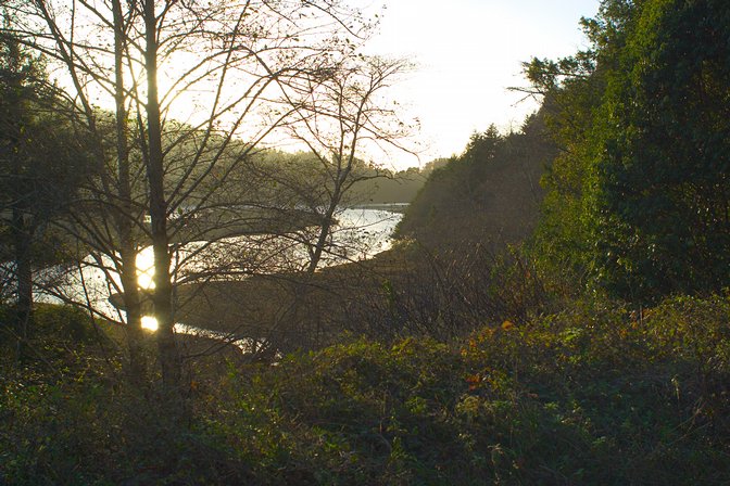 Down Big River