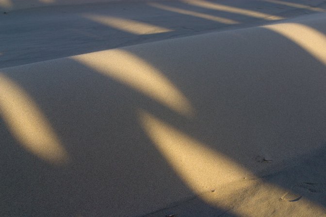 Pudding Creek Sand, IV