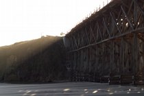 Pudding Creek Trestles, III