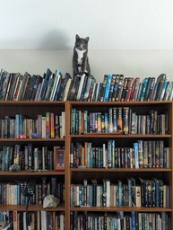 Bookshelf