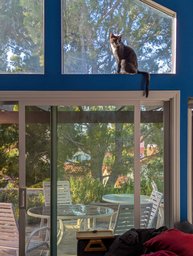 Patio Door