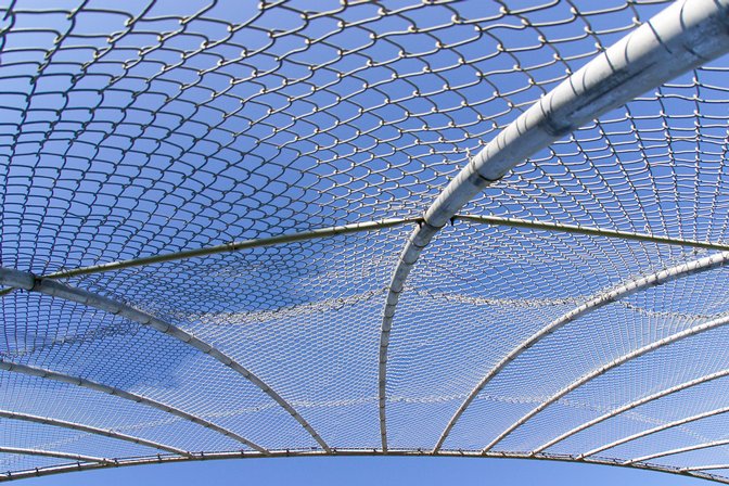 Fisheye Backstop