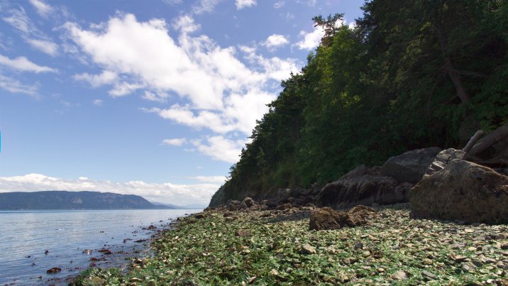 Sea, sky, wood, stone