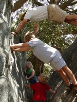 Climbing rocks