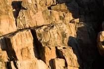 Petroglyphs In The Sun, II