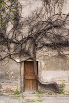 Strahov Espalier