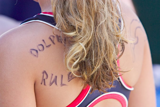 Dolphins Rule (Chandler's back)