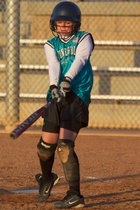 Zippy Practice Swing