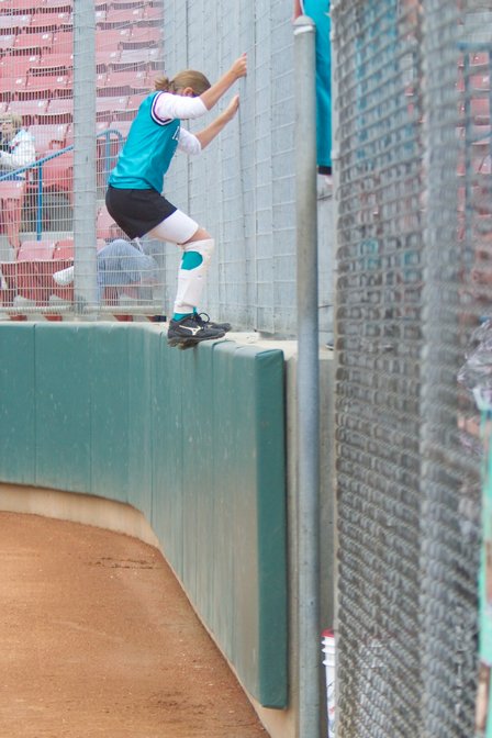 Taylor Climbs The Backstop