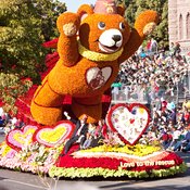 Shriners Bear