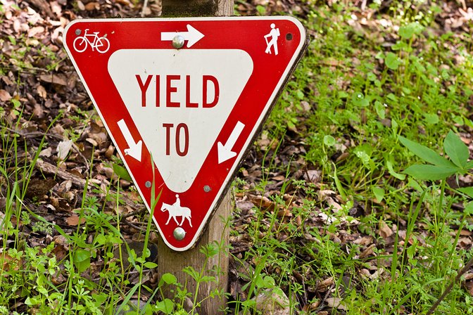 Transitive Tournament