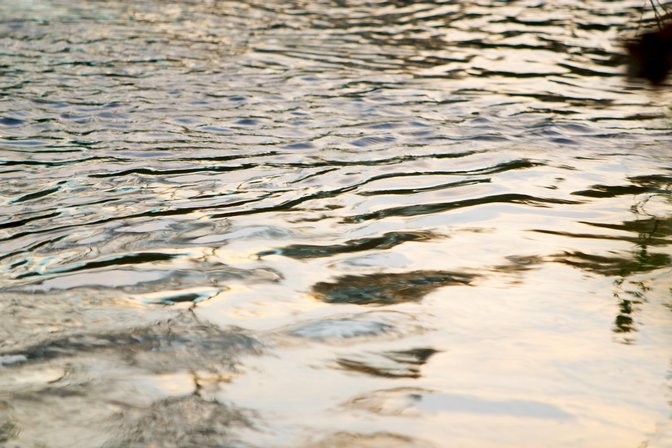 Ripples