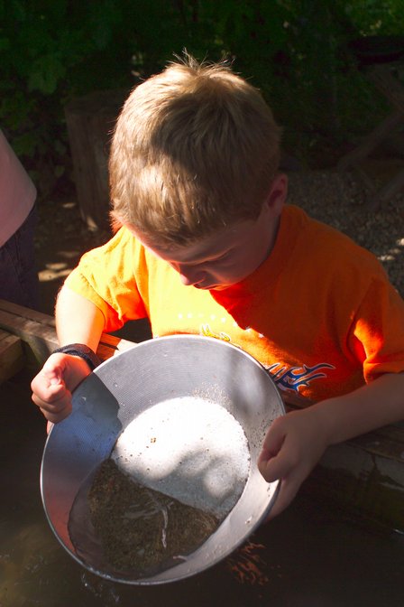 Timothy Pans For Gold