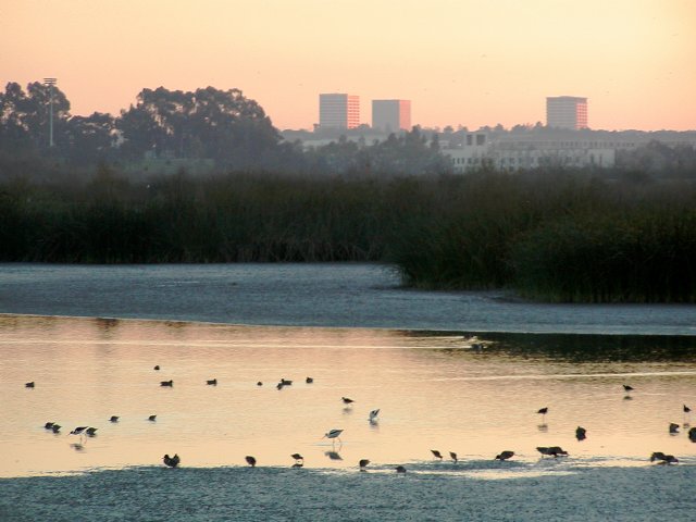 Pond and Buildings, II