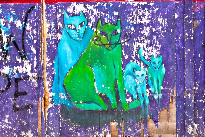 Moustache Cat Family