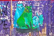 Moustache Cat Family