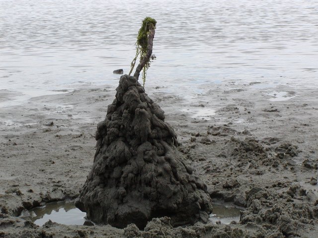 Close-up of Logan's castle