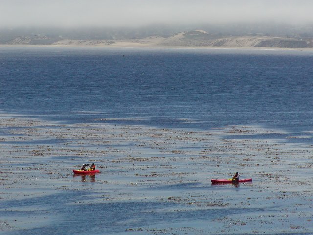 Kayakers