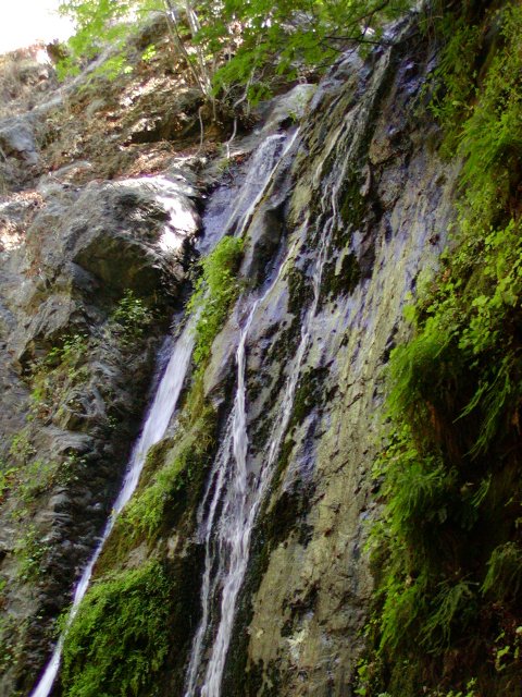 Pfeiffer Falls