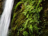 Pfeiffer Falls close-up