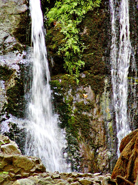 Pfeiffer Falls from below