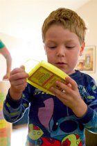 Top Predator animal cards