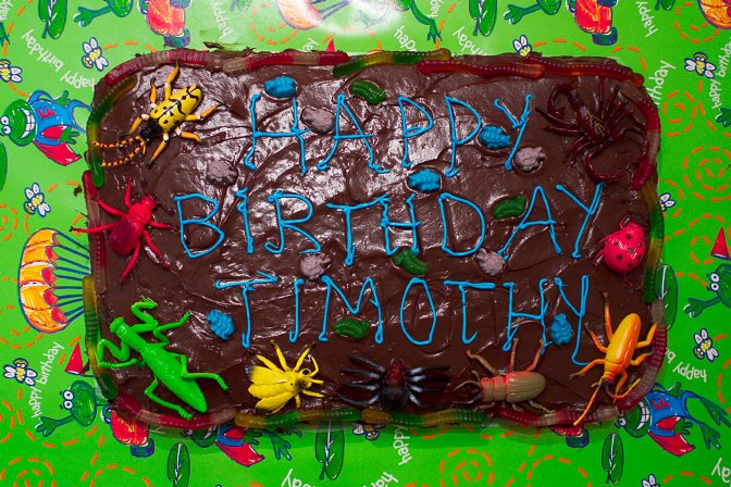 The infamous cake shot