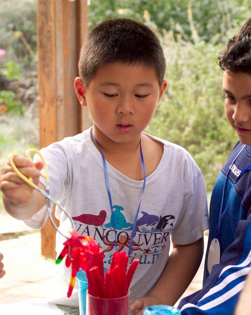 Han-lin adds flobberworms to his potion