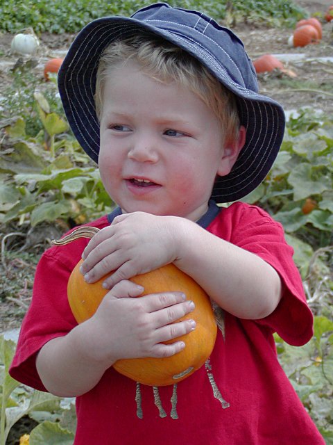 Timothy found his pumpkin quickly