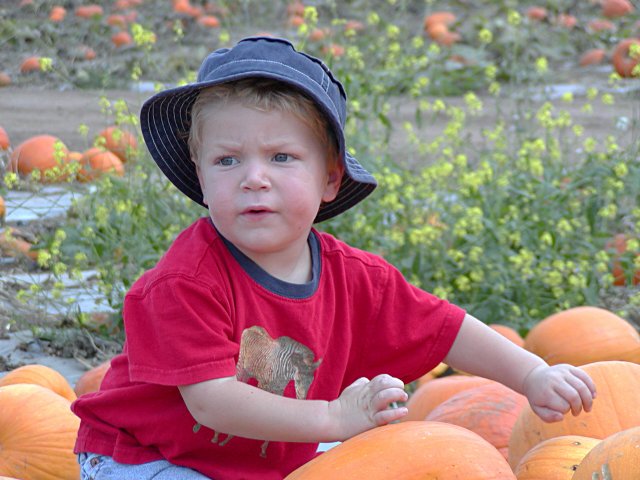 Timothy on the pumpkin pile