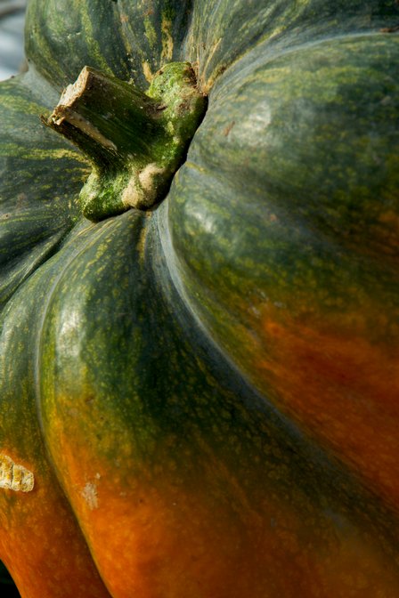 Green Pumpkin