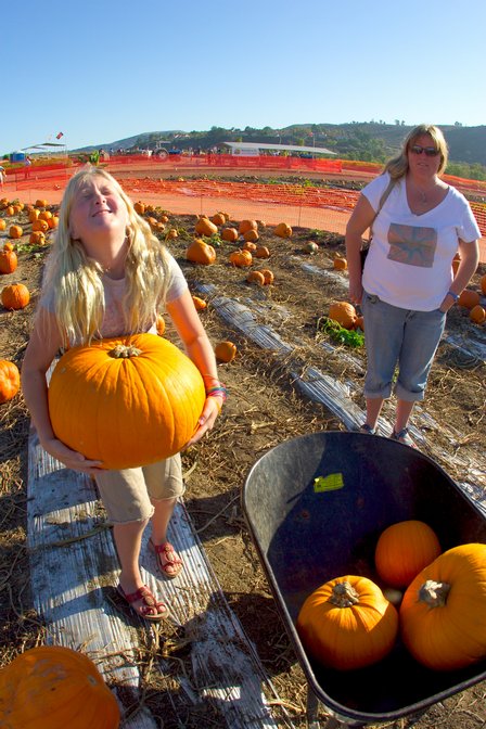 Into The Wheelbarrow