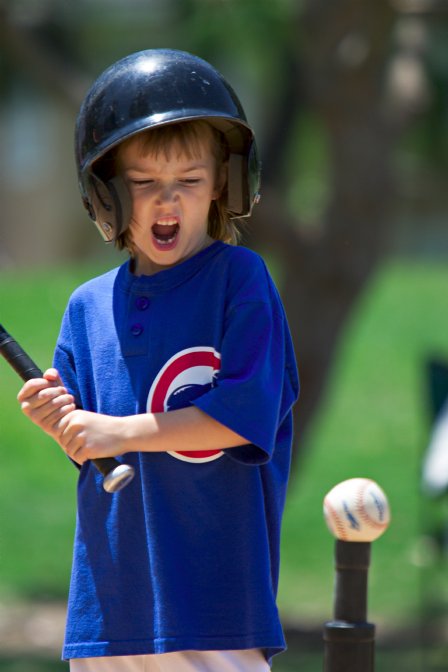 Katie snarls at the ball