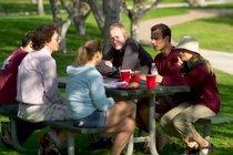 Picnic Table Conversation