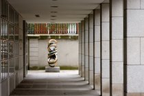 (2,8)-Torus Link, III