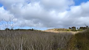 UCI Ecological Preserve