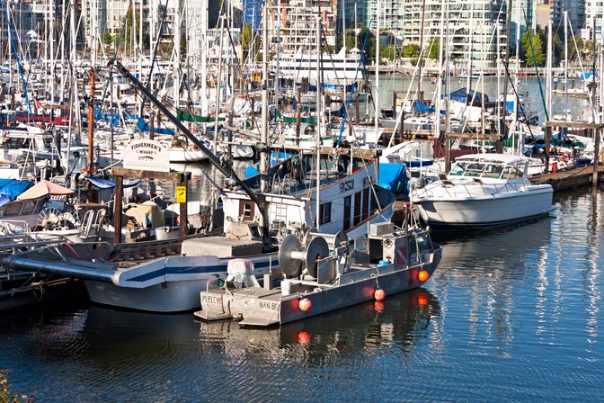 False Creek Harbour, II