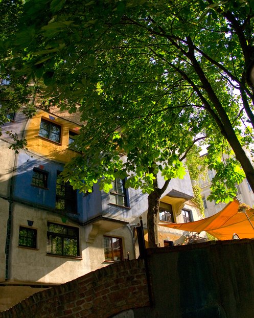 Framed By Bridge And Tree
