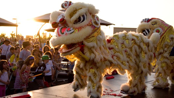 Lion Dancers, I