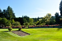 Butchart Gardens, III