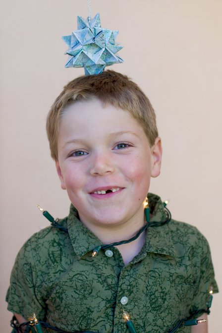 Timothy As Xmas Tree