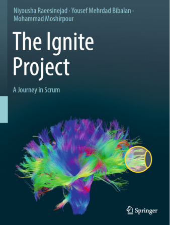 Book cover of The Ignite Project