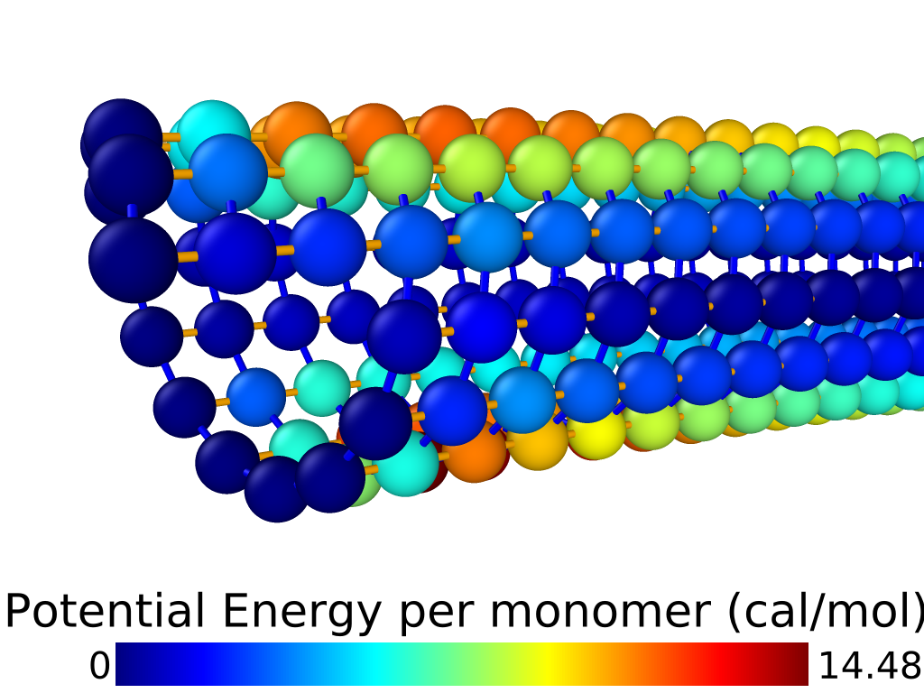 Microtubule model under bending load. Color of each particle indicates the sum of that particle’s share of all of the energetic interactions in which it participates. This view is on the clamed end; the other end, out of view, has a constant force applied. The flexural rigidity (EI) we measure from the stiffest MTs we simulate is within the (broad) range of values found by prior work for taxol-stabilized MTs (both simulated and measured; see (Kikumoto et al. 2006; Takasone et al. 2002; VanBuren, Cassimeris, and Odde 2005)).